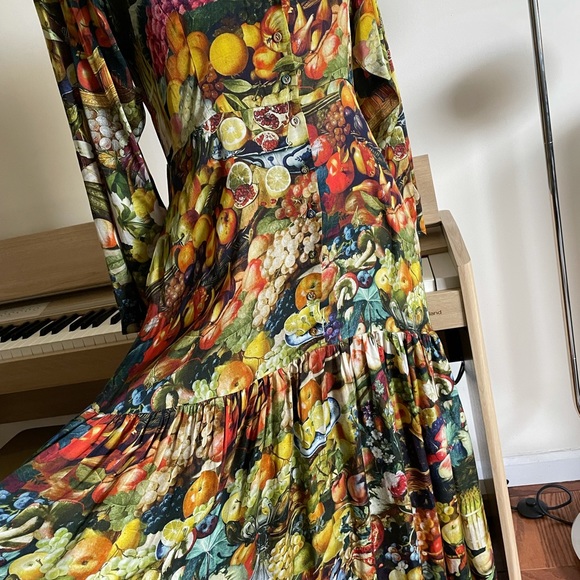 Samantha Pleet Abundance Banquet dress - US 10 M/L SOLD OUT! - Picture 2 of 4